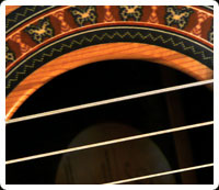 classical guitar